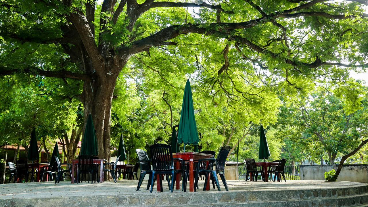 Malwathu Oya Caravan Park Bed & Breakfast Holambra Exterior foto
