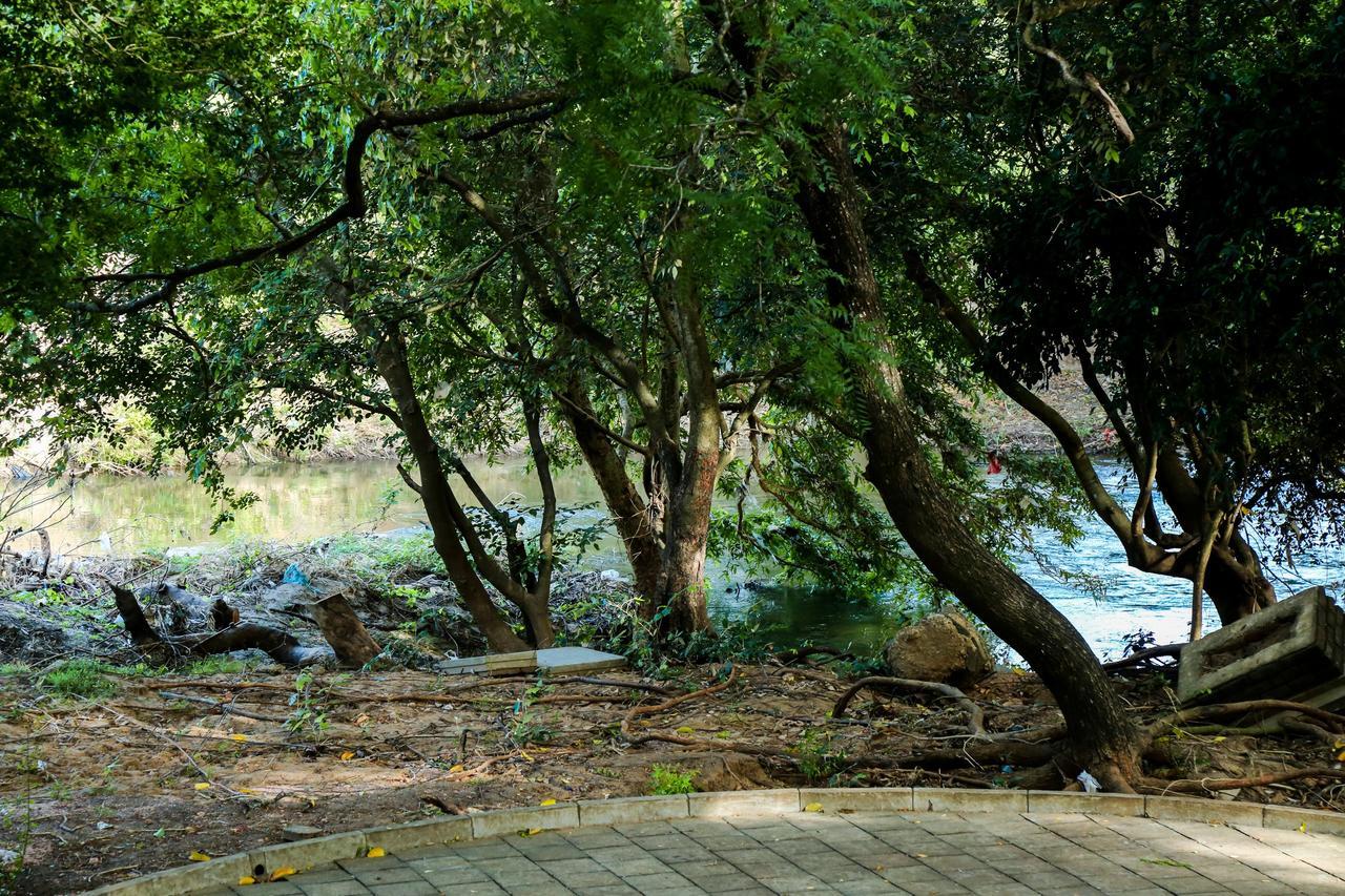 Malwathu Oya Caravan Park Bed & Breakfast Holambra Exterior foto